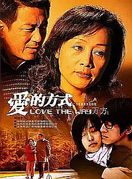 闪亮的日子2009迅雷封面